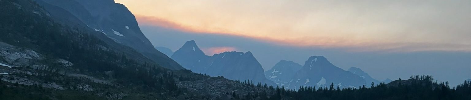 Roles and Responsibilities