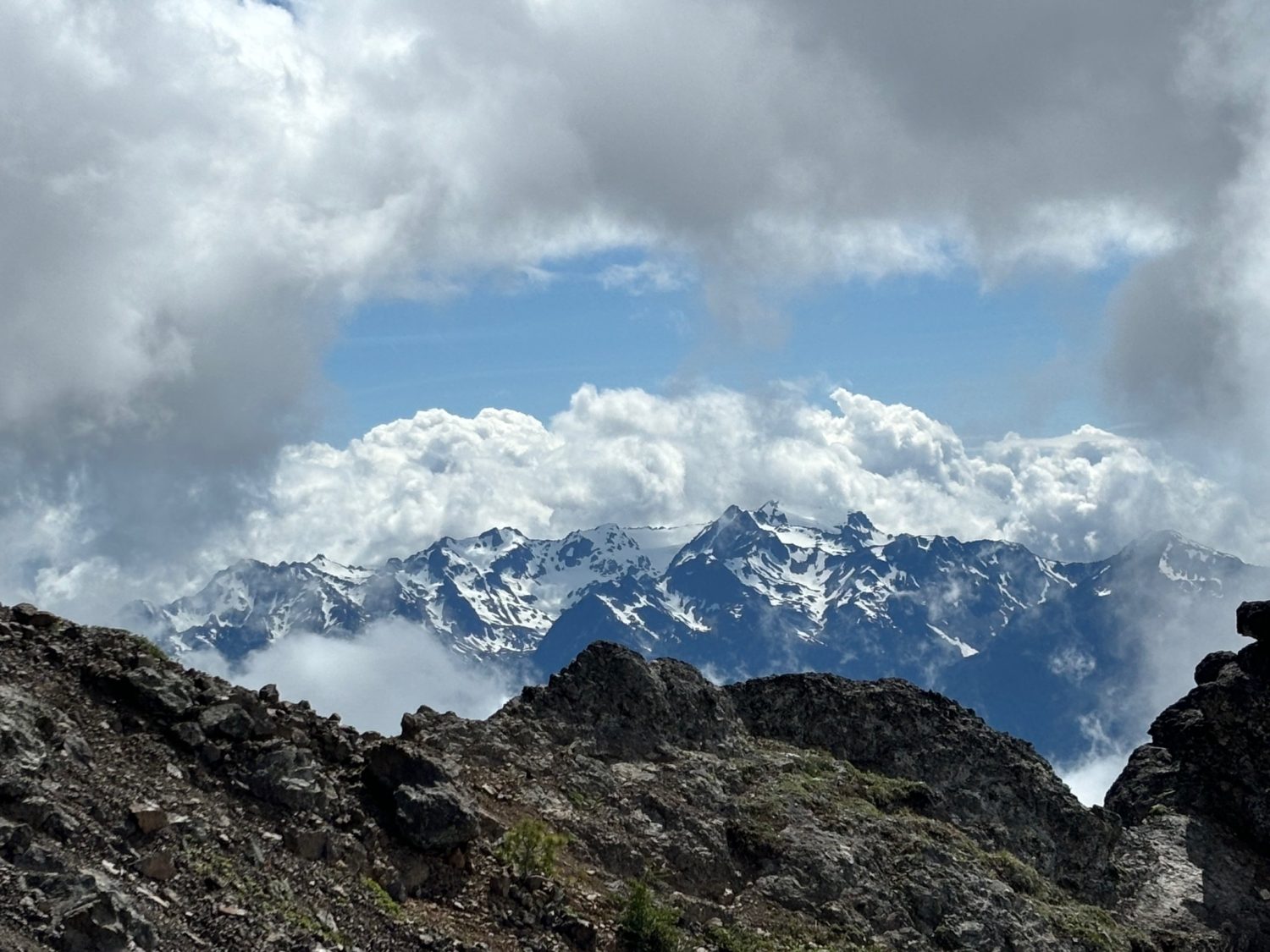 Counselor In Training (CIT)