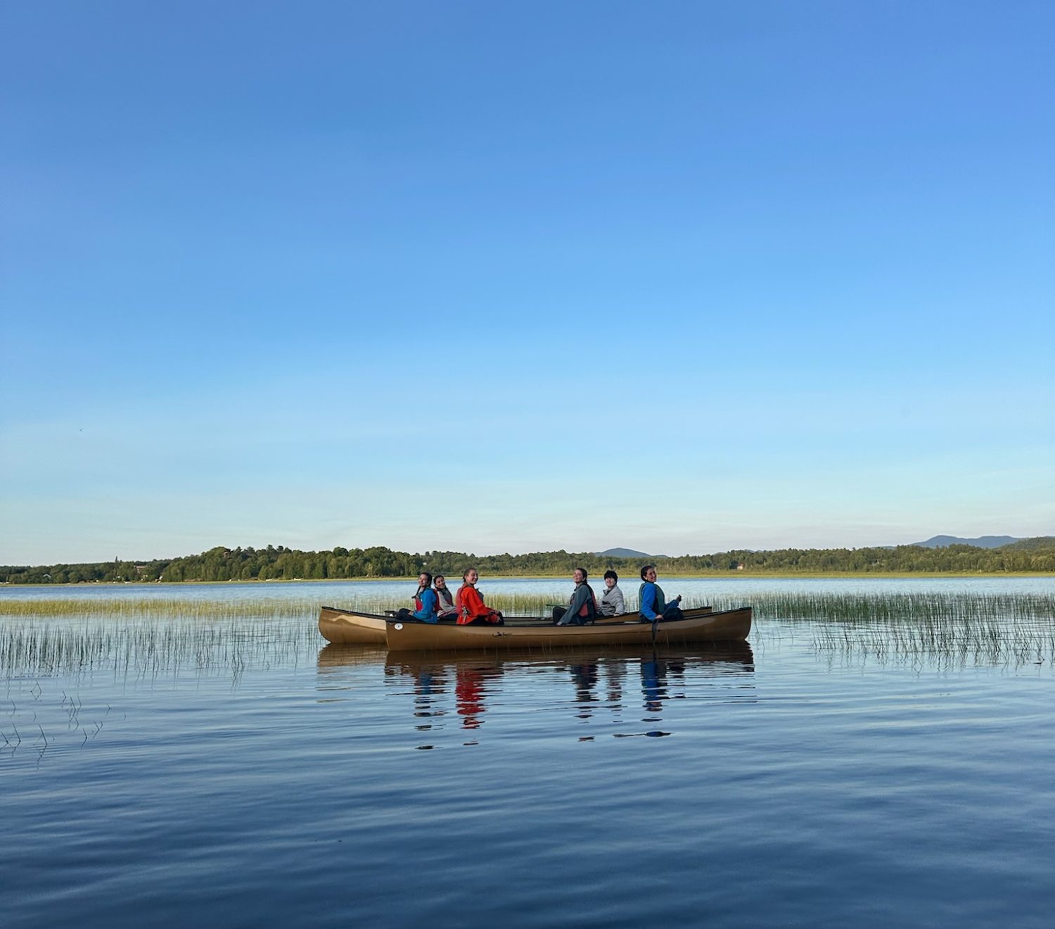 Progressions (PROGS)